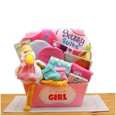 GBDS 890652-P A Special Delivery New Baby Gift Basket- Pink 