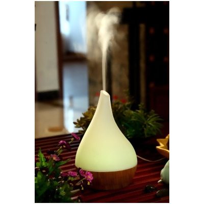 Canary Products FS640BB Canary Glass & Bamboo Aroma Diffuser 