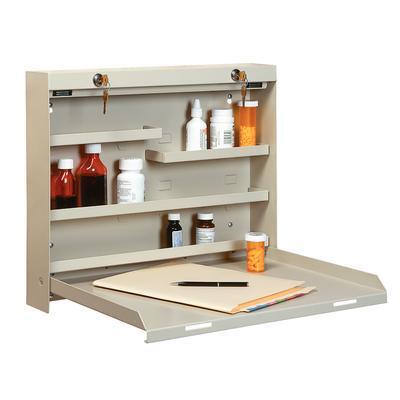 Datum Storage WW-400 Locking DrugStor Wall Write Mounted Desk 
