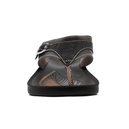 aerothotic by aerosoft