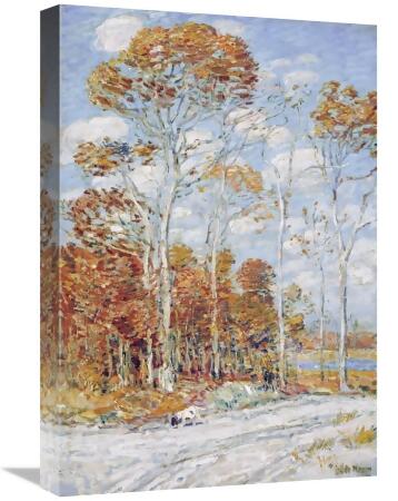 Global Gallery GCS-268067-22-142 22 in. The Hawks Nest Art Print - Childe Hassam 