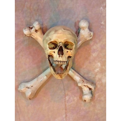 Skeletons and More SCON-200NC Wall Sconce Skull-Bone Life-Size Skull on Femur Crossbones no Candle 