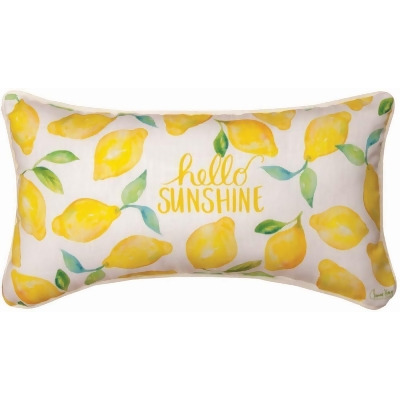 Manual Woodworkers & Weavers SHHSSN 17 x 9 in. Hello Sunshine CNH Pillow 
