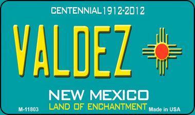 Smart Blonde M-11803 3.5 x 2 in. Valdez Teal New Mexico Novelty Metal Magnet 