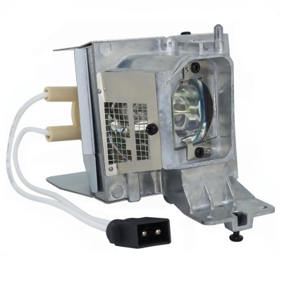 Dynamic Lamps 61046-G Optoma BL-FP260C Compatible Projector Lamp Module 