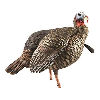 Avian X 87477 Black Hdr Jake Turkey Decoy From Unbeatablesale At