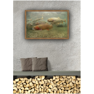 Somerset House Publishing V8181 21.5 x 31.5 in. Cutthroat Trout Framed Canvas Art 