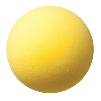 Champion Sports Uncoated Regular Density Foam Ball