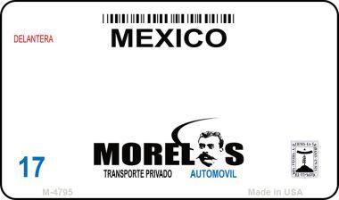 Smart Blonde M-4795 3.5 x 2 in. Morelos Mexico Blank Background Novelty Metal Magnet 