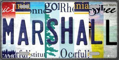 Smart Blonde LP-13285 6 x 12 in. Marshall Strip Art Novelty Metal License Plate Tag 