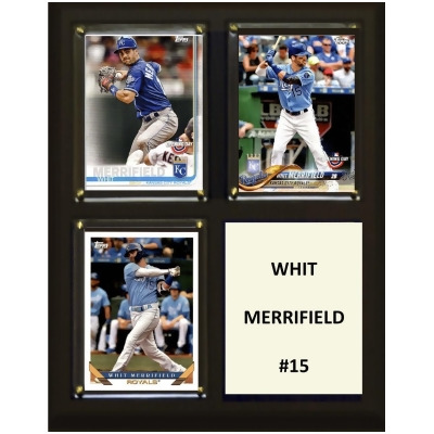 C&I Collectables 810MERRIFIELD 8 x 10 in. NHL Whit Merrifield Arizona Coyotes Three Card Plaque 