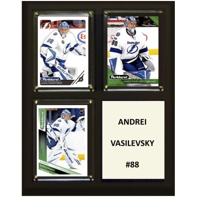 C&I Collectables 810VASILEVSKIY 8 x 10 in. NHL Andrei Vasilevskiy Tampa Bay Lightning Three Card Plaque 