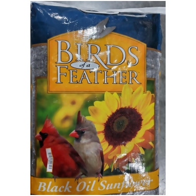 Songbird Essentials SESEED139GC 20 lbs Oil Sunflower Bird Seed Black 