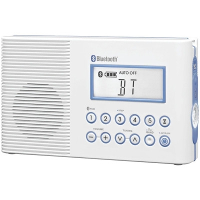 Sangean-Personal & Portable T53100 AM & FM Clock Radio 