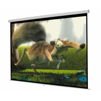 CB15399 119 in. Manual Projector Screen 84 x 84 in. Pull Down Home Movie Theater 