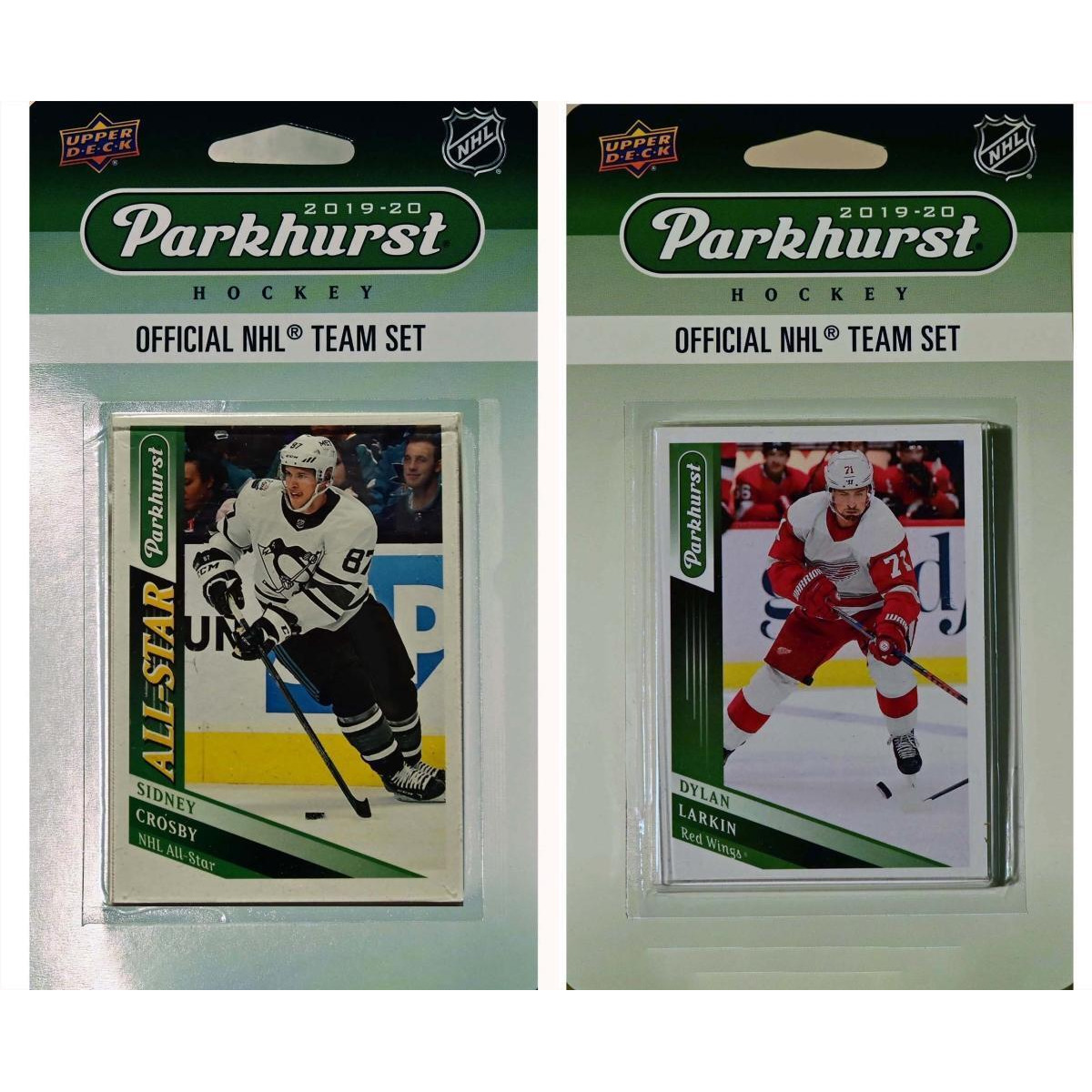C&I Collectables 19REDWINGSTS NHL Detroit Red Wings 2019-20 Parkhurst Team All-Star Set