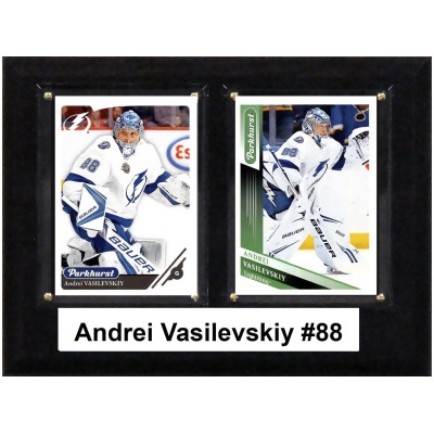 C&I Collectables 68VASILEVSKIY 6 x 8 in. NHL Andrei Vasilevskiy Tampa Bay Lightning Two Card Plaque 