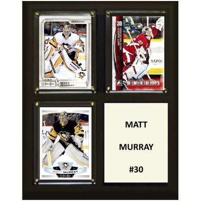 C&I Collectables 810MMURRAY 8 x 10 in. NHL Matt Murray Arizona Coyotes Three Card Plaque 