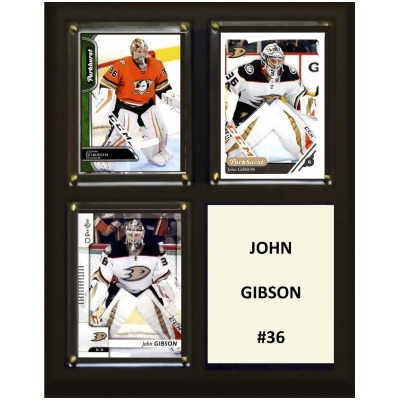 C&I Collectables 810JGIBSON 8 x 10 in. NHL John Gibson Arizona Coyotes Three Card Plaque 