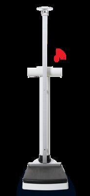Seca 7037821004 EMR Ready Column Scale with Integrated Measuring Rod 