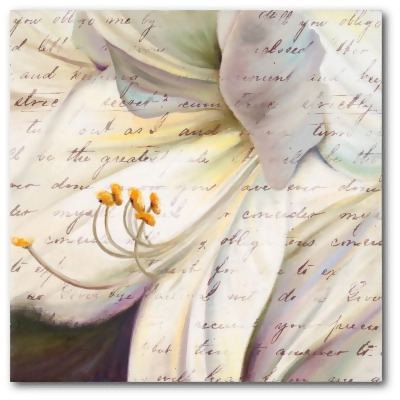 Courtside Market WEB-WW234-30x30 30 x 30 in. Lily Script I Gallery-Wrapped Canvas Wall Art 