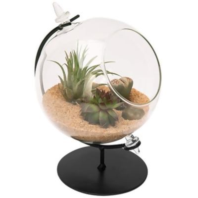 Panacea Products 7008966 7 x 5 x 4.5 in. Glass Desktop Terrarium with Stand, Black & Clear 