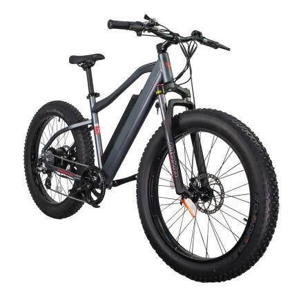 Fat bike online shop hot sale