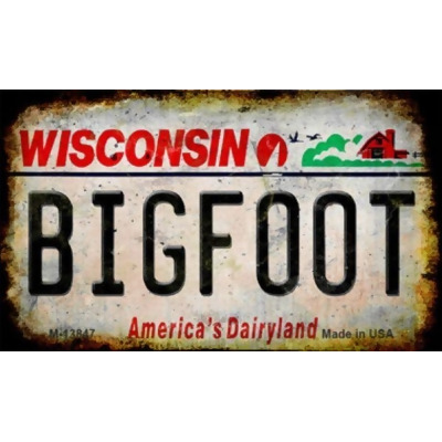 Smart Blonde M-13847 3.5 x 2 in. Bigfoot Wisconsin Novelty Metal Magnet 