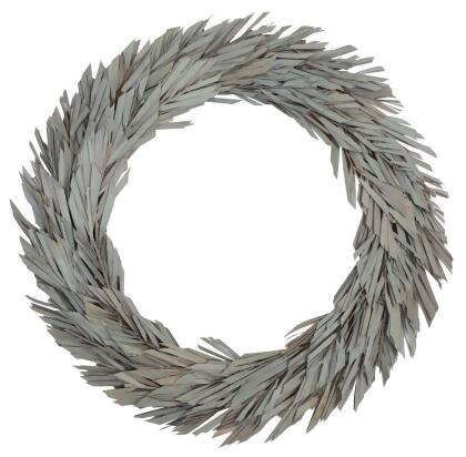 Vickerman H8CLWL000 24 in. Natural Canna Leaf Wreath 