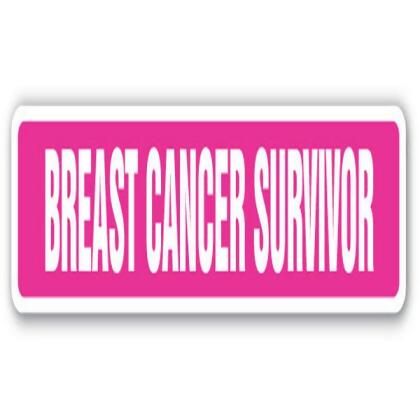 SignMission SS-Breast Cancer Survivor 18 in. Breast Cancer Survivor Street Sign - Strong Woman Surgery Scars Warriors