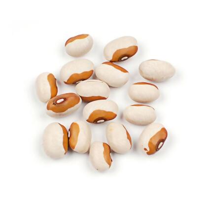 Woodland Foods 004540 Yellow Eye Bean, 10 Pound Box 
