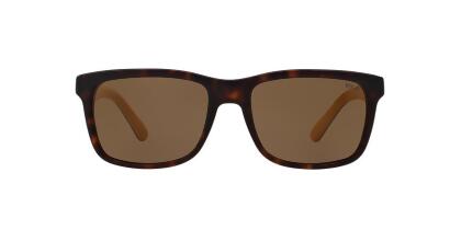 Dolce & Gabbana W-SG-4581 47-15-130 mm 4237 3019-8G Sunglass for Womens - Top Print Rose, Black & Grey Gradient