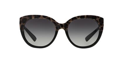 Dolce & Gabbana W-SG-4566 56-20-140 mm 4259 1995-8G Sunglass for Womens - Top Leopard on Black & Grey Gradient