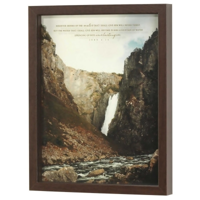 Dicksons FRMWDWAL-1114-21 Framed Wall Art Whoever Drinks Water 
