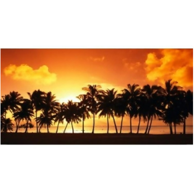212 Main LPO533 Orange Sunset Palm Tree Beach Scene License Plate 