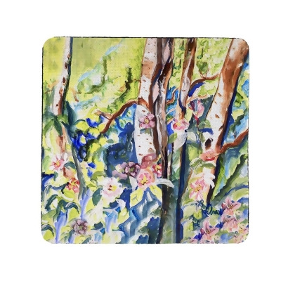 Betsy Drake CT1423 Birch Tree Wood Coaster - Set of 4 