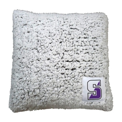 Logo Chair C2352-812 16 x 16 in. NBA Scranton University Frosty Fleece Blanket Pillow 