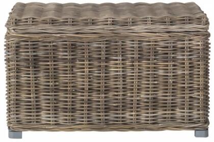 Safavieh SEA7018A Mikasi Trunk- Grey - 18.7 x 18.1 x 29.9 in.