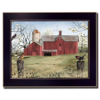 HomeRoots 404362 Rustic Red Barn & Birds Black Framed Print Wall Art, Multi Color 