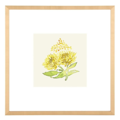 Safavieh WLA2048A 16 x 16 in. Summer Wishes Framed Wall Art - Yellow & Spring Green 