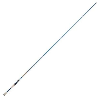 BuyerChoice 10 Ft 2 Part Fishing Rod Spinning Fishing Pole Rod : :  Sports, Fitness & Outdoors