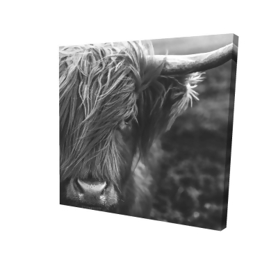 Begin Home Decor 2080-0808-PH1-1-CR 8 x 8 in. Monochrome Portrait Highland Cow-Print on Canvas 