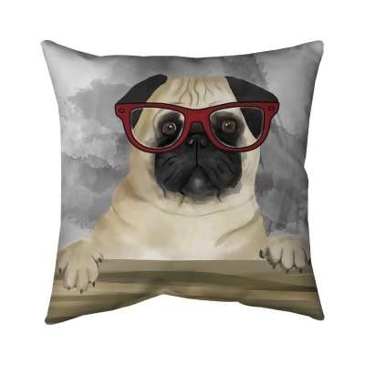 Begin Home Decor 5542-2020-AN95 20 x 20 in. Geek Carlin-Double Sided Print Outdoor Pillow Cover 