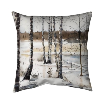 Begin Home Decor 5542-2020-LA151 20 x 20 in. Winter Swamp-Double Sided Print Outdoor Pillow Cover 
