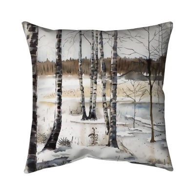 Begin Home Decor 5541-2020-LA151 20 x 20 in. Winter Swamp-Double Sided Print Indoor Pillow 