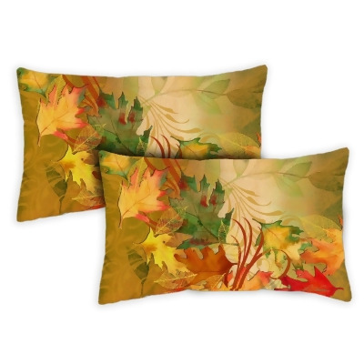Toland Home Garden 771283 12 x 19 in. Autumn Aria Indoor & Outdoor Pillow Case - Set of 2 