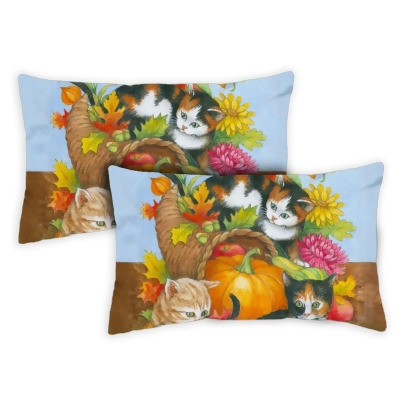 Toland Home Garden 771269 12 x 19 in. Kitten Cornucopia Indoor & Outdoor Pillow Case - Set of 2 