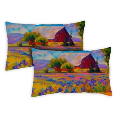 Toland Home Garden 771289 12 x 19 in. Lavender Farm Indoor & Outdoor Pillow Case - Set of 2 