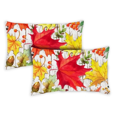 Toland Home Garden 771336 19 x 12 in. Falling Leaves Indoor & Outdoor Pillow Cases, Set of 2 