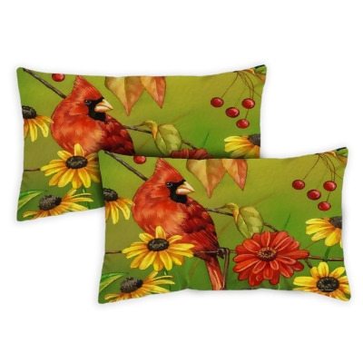 Toland Home Garden 771259 12 x 19 in. Birds N Berries Indoor & Outdoor Pillow Case - Set of 2 